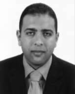 Wael Mohamed Yousef Elsayed